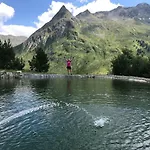 Goldener Adler